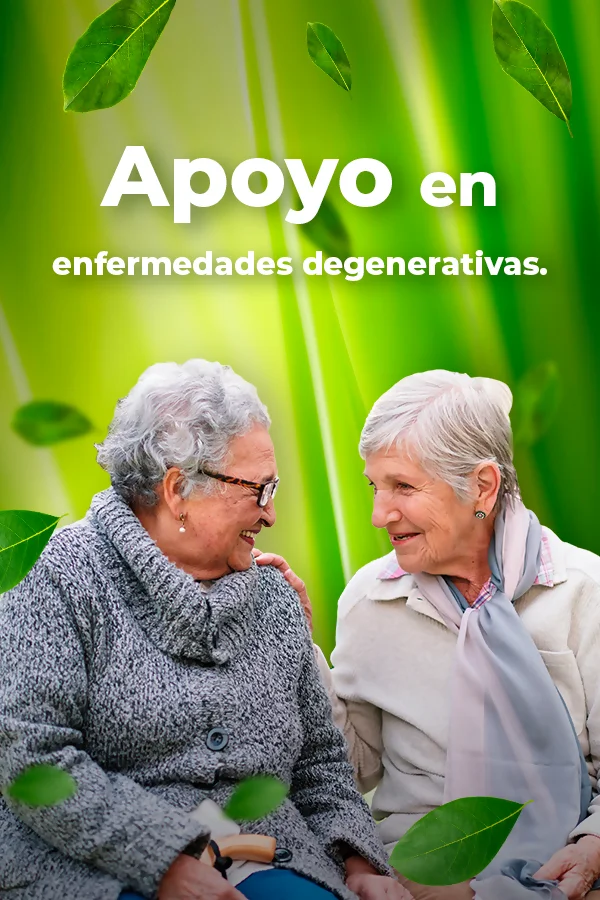 Feviva